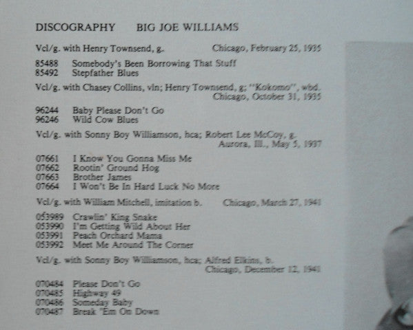Big Joe Williams : Baby Please Don't Go (LP, Comp)