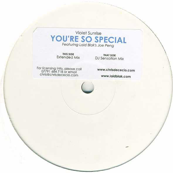Violet Sunrise Featuring Joe Peng : You're So Special (12", W/Lbl, Sti)