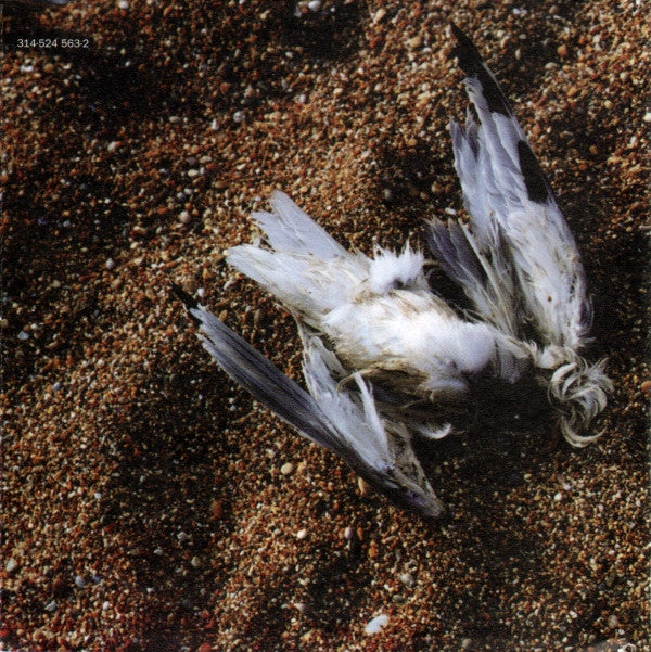 PJ Harvey : Is This Desire? (CD, Album)