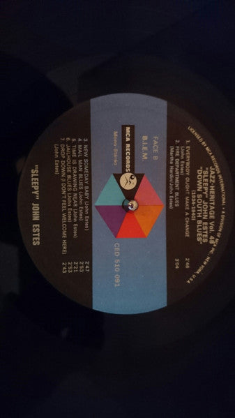 "Sleepy" John Estes* : Down South Blues 1935-1940 (LP, Comp)