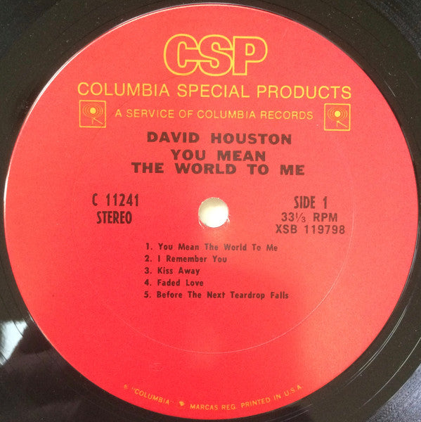 David Houston : You Mean The World To Me (LP, Album, Club)