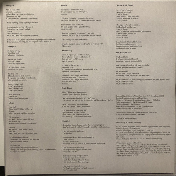 Novo Amor : Birthplace (LP, Album, Rec)