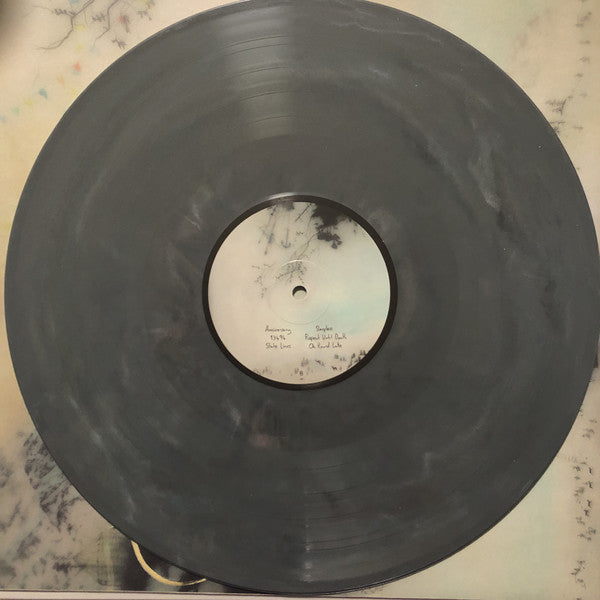 Novo Amor : Birthplace (LP, Album, Rec)