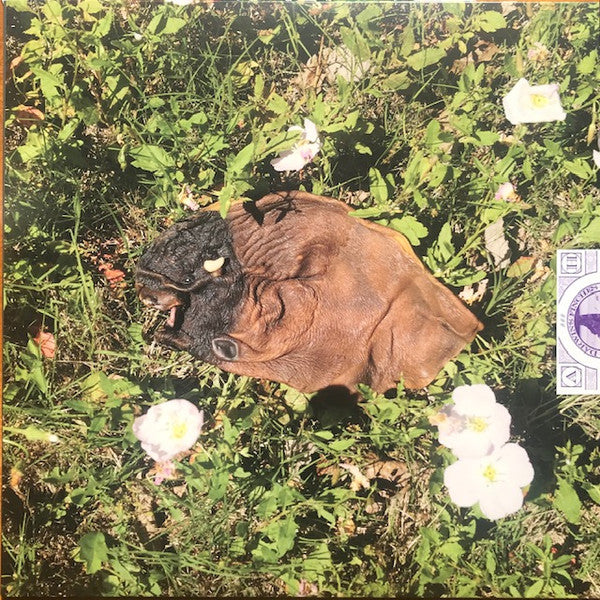 Darwin's Finches : Good Morning Creatures II (LP, Album)