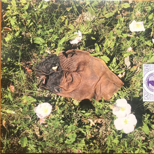 Darwin's Finches : Good Morning Creatures II (LP, Album)