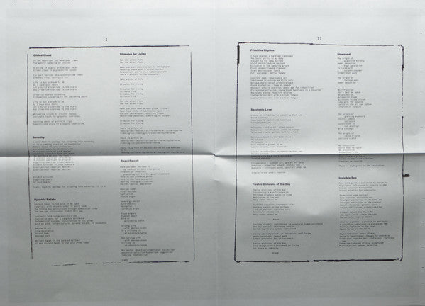 Drahla : Useless Coordinates (LP, Album, Ltd, Car)