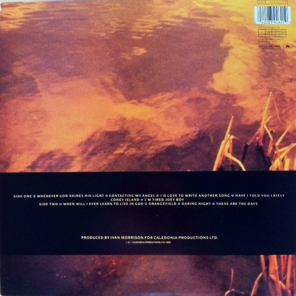 Van Morrison : Avalon Sunset (LP, Album)