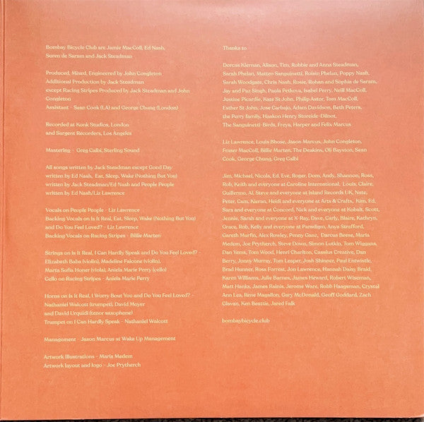 Bombay Bicycle Club : Everything Else Has Gone Wrong (2xLP, Album, Dlx)