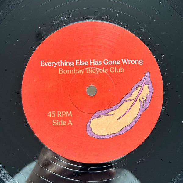 Bombay Bicycle Club : Everything Else Has Gone Wrong (2xLP, Album, Dlx)