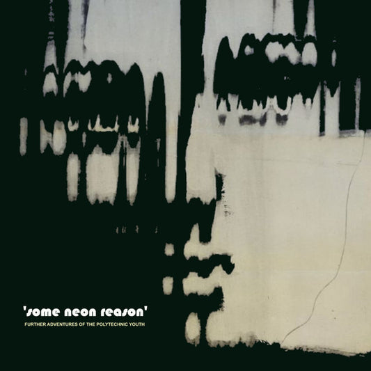 Various : Some Neon Reason: Further Adventures Of The Polytechnic Youth (LP, Album, Comp)