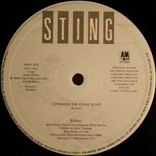 Sting : Love Is The Seventh Wave (New Mix) (12", Single)