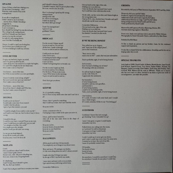 Novo Amor : Cannot Be, Whatsoever (LP, Album, Rec)