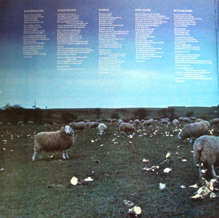 Lindisfarne : Back And Fourth (LP, Album, Gat)
