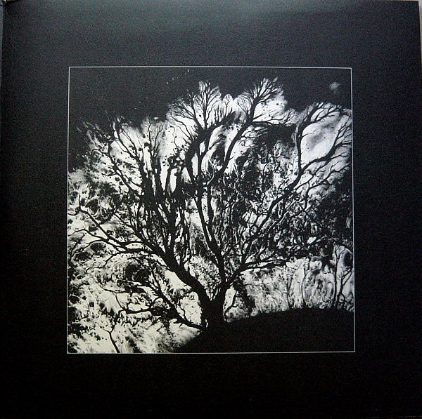 Dead Can Dance : The Serpent's Egg (LP, Album, RE, RM, Gat)