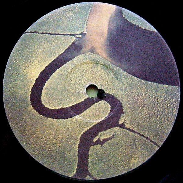Dead Can Dance : The Serpent's Egg (LP, Album, RE, RM, Gat)