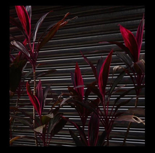 Fine Place : This New Heaven (LP, Album)