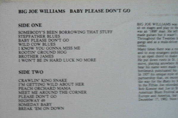 Big Joe Williams : Baby Please Don't Go (LP, Comp)