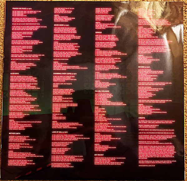 Essential Logic : Land Of Kali (LP, Neo)