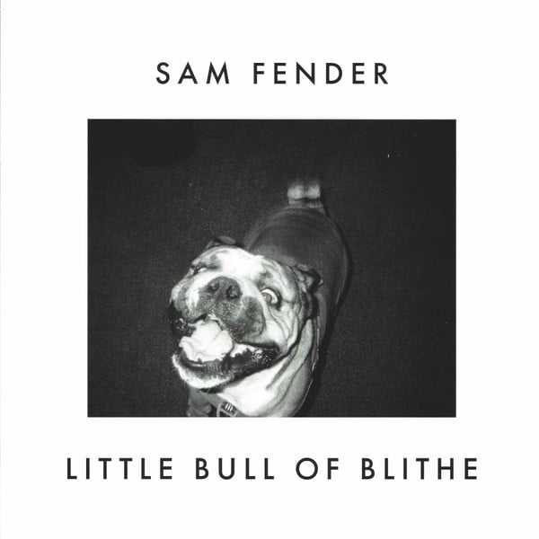 Sam Fender : Wild Grey Ocean / Little Bull Of Blithe (7", RSD, Single, Ltd, Whi)