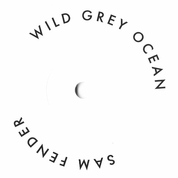 Sam Fender : Wild Grey Ocean / Little Bull Of Blithe (7", RSD, Single, Ltd, Whi)