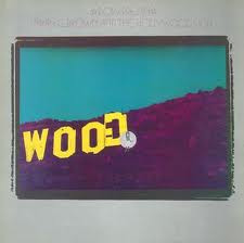 Dory Previn : Mary C. Brown And The Hollywood Sign (LP, Album)