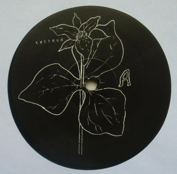 Caethua : The Summer Is Over Before It's Begun (LP)