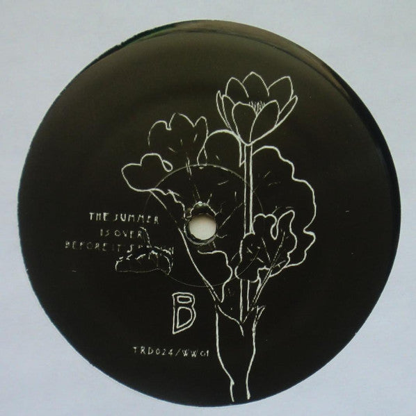 Caethua : The Summer Is Over Before It's Begun (LP)