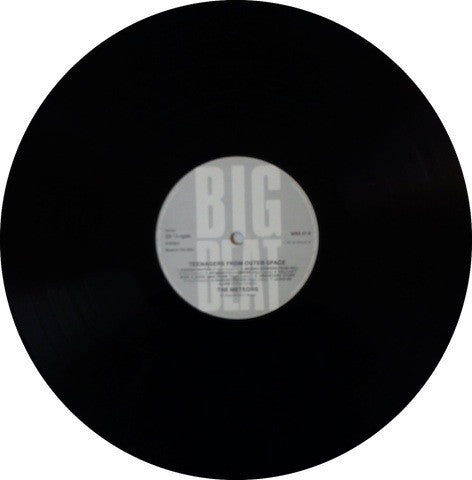 The Meteors (2) : Teenagers From Outer Space (LP, Comp, Gat)