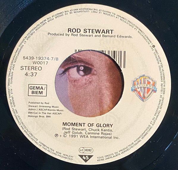 Rod Stewart : Rhythm Of My Heart (7", Single)
