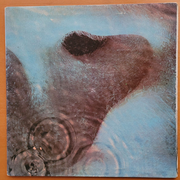 Pink Floyd : Meddle (LP, Album, Gat)