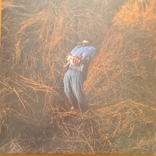 Jack Garratt : Pillars (12", Album, Ltd, Ora)
