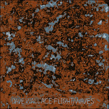 Dave Wallace : Flight / Waves (12")