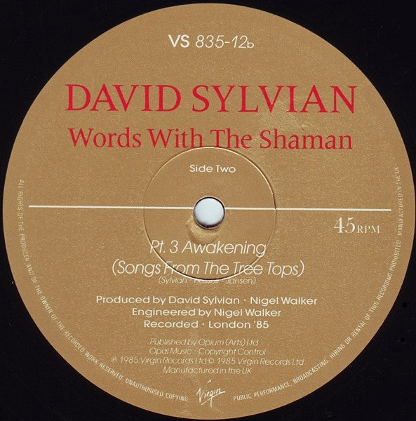 David Sylvian, Jon Hassell • Steve Jansen, Holger Czukay : Words With The Shaman (12", EP, P/Mixed)