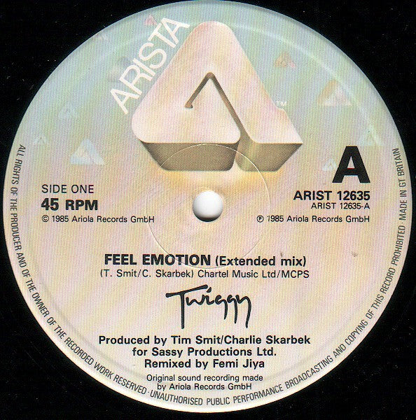 Twiggy (2) : Feel Emotion (12")