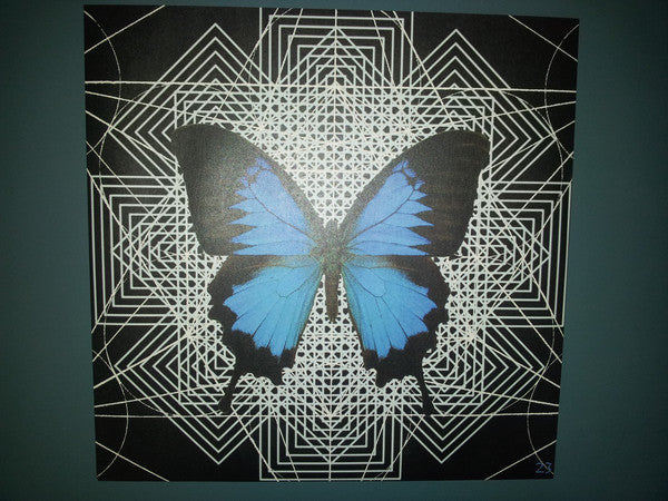 Tess Parks And Anton Newcombe : I Declare Nothing (LP, Album, Ora)