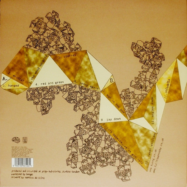 Tunng : Comments Of The Inner Chorus (LP, Album, Ltd)