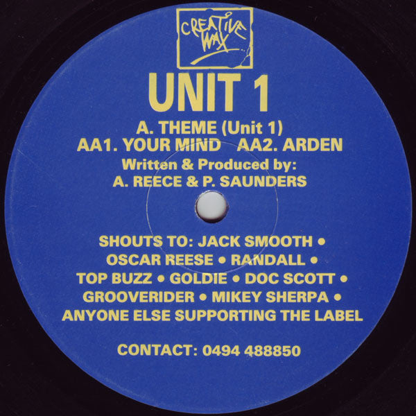 Unit 1 : Theme (12")