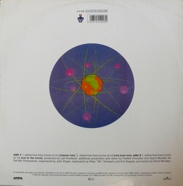 Alison Limerick : Where Love Lives (Come On In) (12")