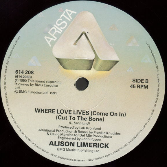Alison Limerick : Where Love Lives (Come On In) (12")