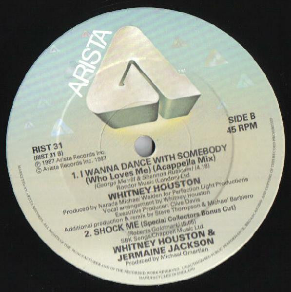 Whitney Houston : Didn't We Almost Have It All (12")
