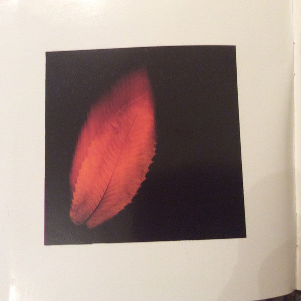 Peter Gabriel : Shaking The Tree: Sixteen Golden Greats (CD, Comp)